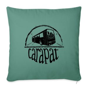 Coussin et housse logo carapat noir